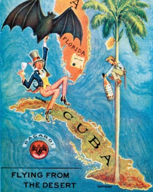 Bacardi flying from the desert